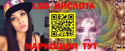 тгк Камышлов