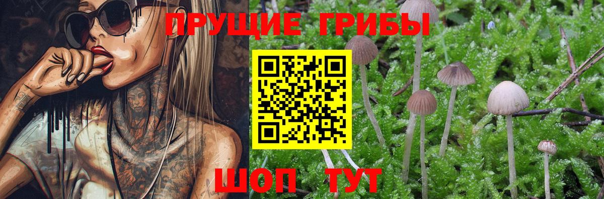 Кулебаки  Псилоцибиновые грибы мухоморы  Вход с VPN 